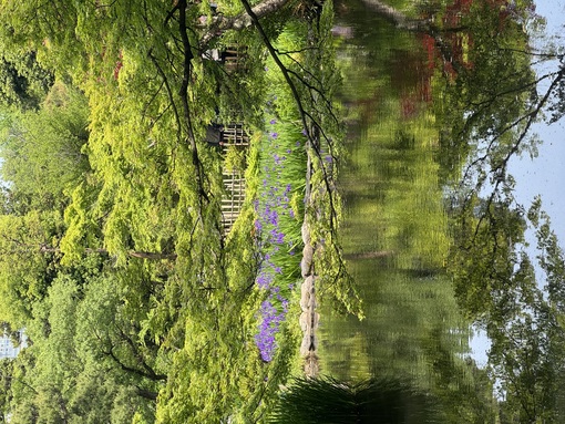 秀吉(ﾋﾃﾞﾖｼ) 庭園