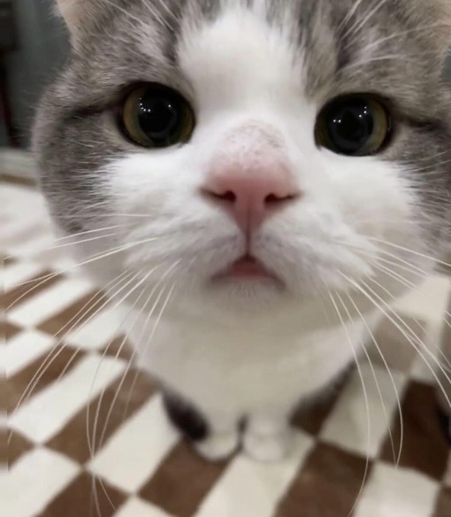 圭(ｹｲ) セラピ向きの仕事