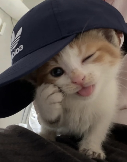 圭(ｹｲ) セラピストの鞄
