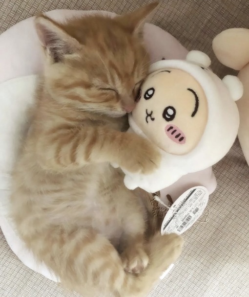 圭(ｹｲ) セラピを続けたい