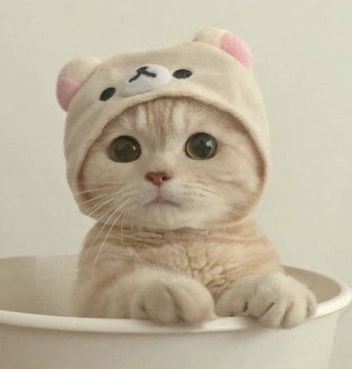 圭(ｹｲ) 会いたい