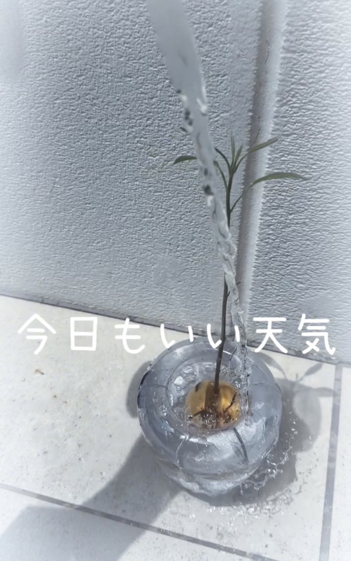 純(ｼﾞｭﾝ) 【🥑成長記録2日目】