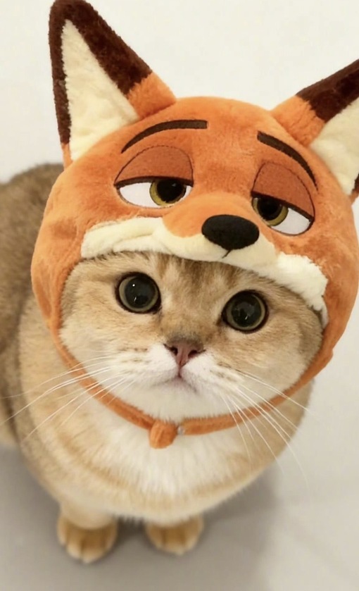 圭(ｹｲ) 次回予約