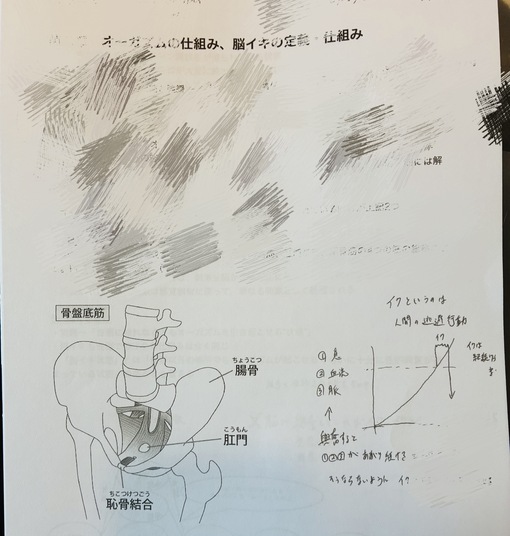 仁(ｼﾞﾝ) エロの先生