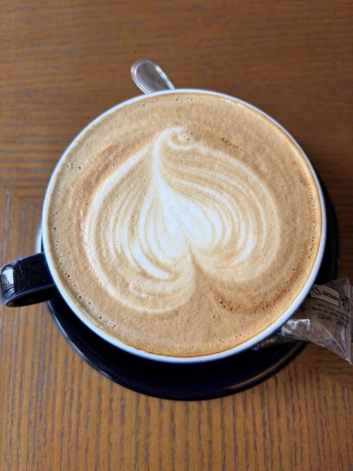 尚斗(ﾅｵﾄ) ☕️