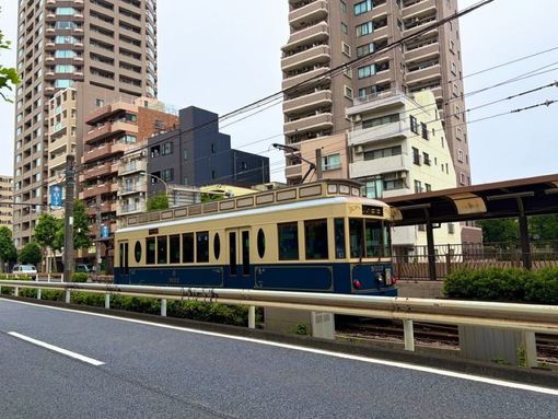 尚斗(ﾅｵﾄ) 🚃