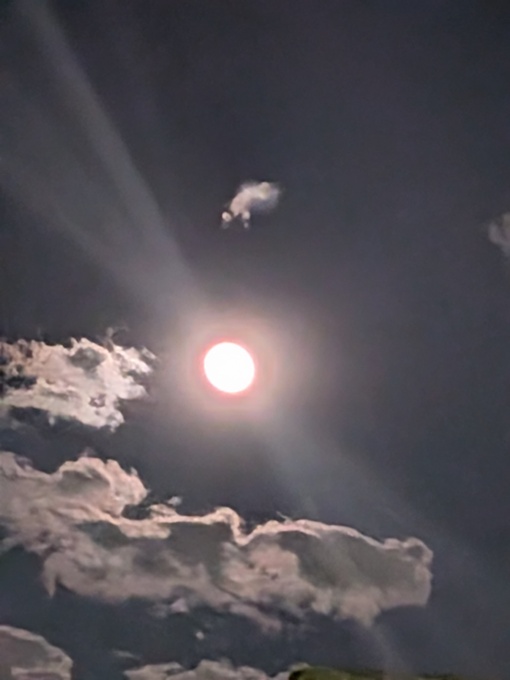 輝星(ｺｳｾｲ) 今日はお楽しみ