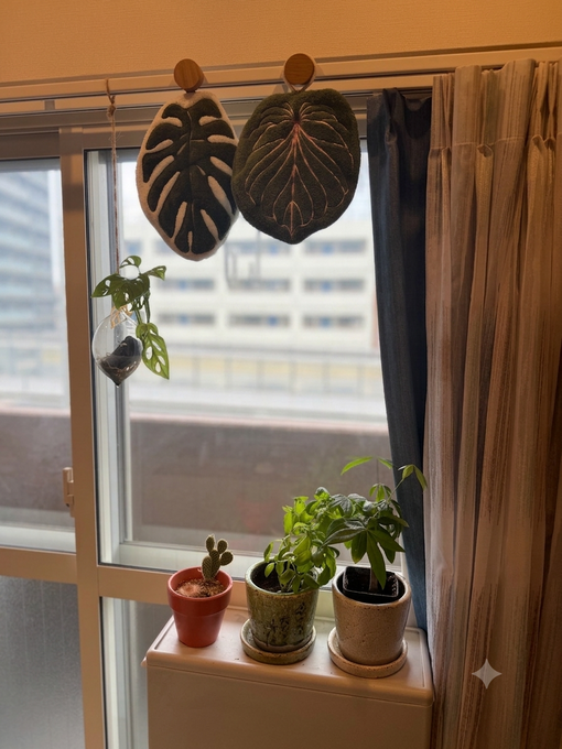 真治(ｼﾝｼﾞ) 葉っぱ型のハンドタオル🍃