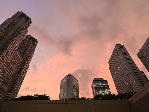 尚斗(ﾅｵﾄ) 🌆