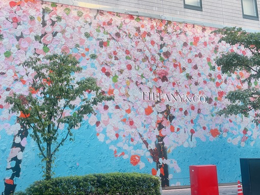 佑都(ﾕｳﾄ) 銀座✨