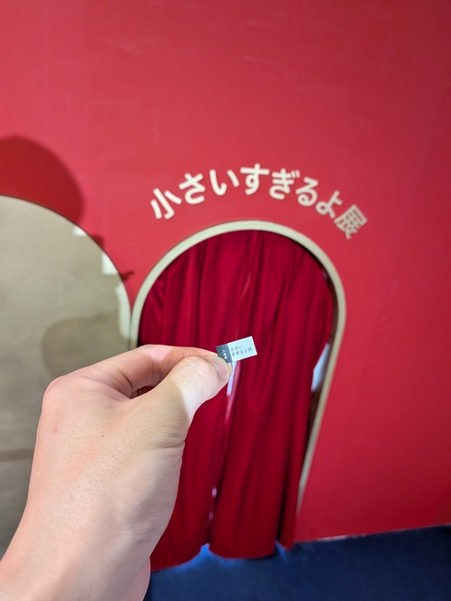 輝星(ｺｳｾｲ) 展示会