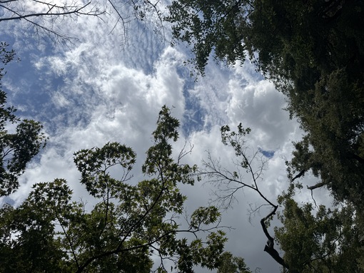 碧人(ｱｵﾄ) 空☁️