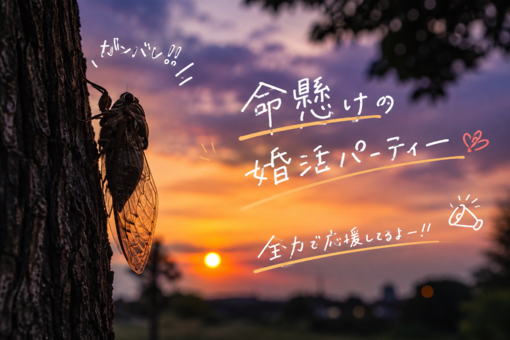 大夜(ﾀﾞｲﾔ) 蝉さんは勇敢だ