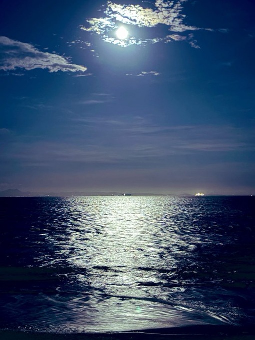 尚斗(ﾅｵﾄ) 🌙✨
