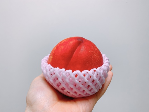 大世(ﾀｲｾ) ネクタリンゲット！