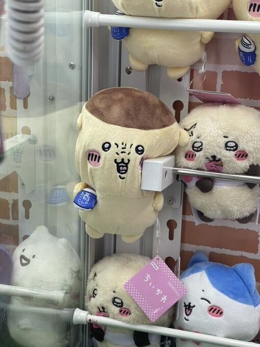 輝星(ｺｳｾｲ) 寒暖差