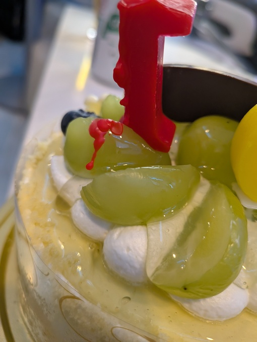 輝星(ｺｳｾｲ) バースデー