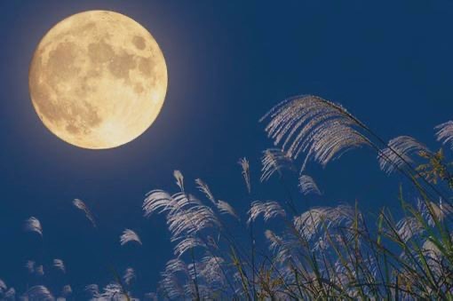 恋弥(ﾚﾝﾔ) 月の模様🌕