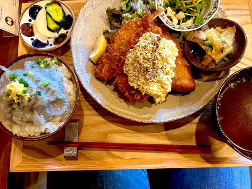 恋弥(ﾚﾝﾔ) しらすが美味しいところへ〜🏃