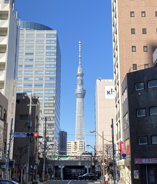 一樹(ｲﾂｷ) 錦糸町にいますよ