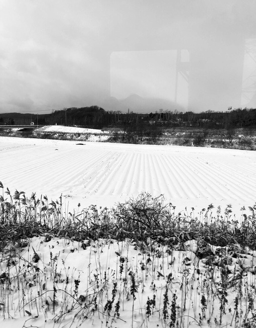 京平(ｷｮｳﾍｲ) 雪国へ