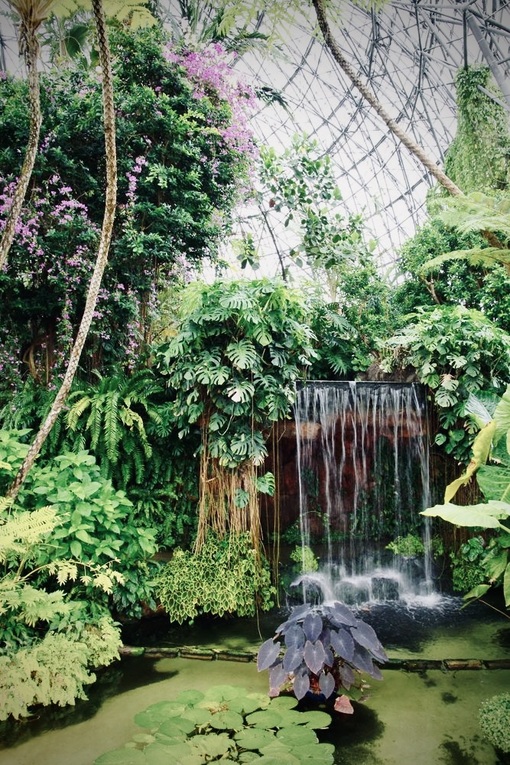 大悟 (ﾀﾞｲｺﾞ) 植物園