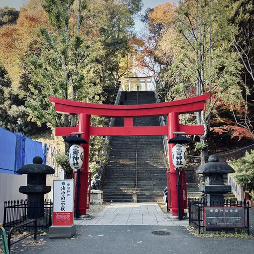 大悟 (ﾀﾞｲｺﾞ) 出世の石段