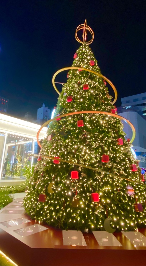 蒼介(ｿｳｽｹ) 元祖クリスマスの時間