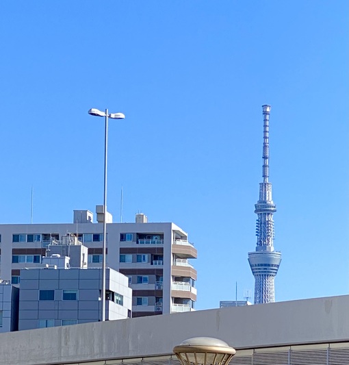 蒼介(ｿｳｽｹ) 青空おすそわけ