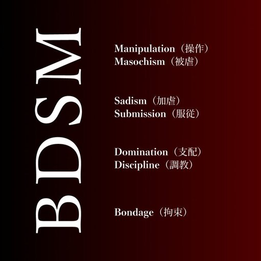 尊(ﾀｹﾙ) ＳＭ、ＤＳ、ＢＤＳＭについての学習✍🏻