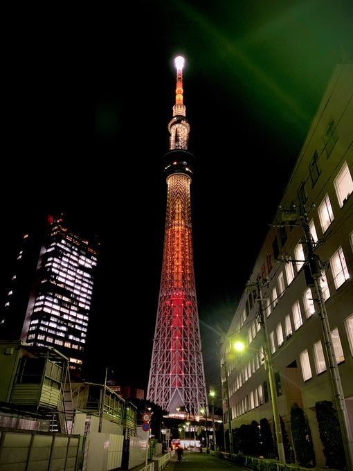 尊(ﾀｹﾙ) スカイツリー🗼