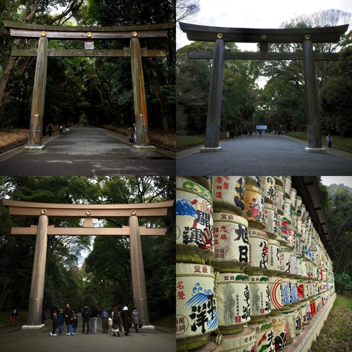 尊(ﾀｹﾙ) 明治神宮⛩️