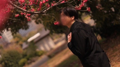 朝日(ｱｻﾋ) 桜