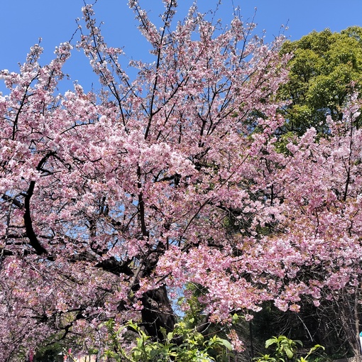 爽太(ｿｳﾀ) 今週もお疲れ様でした